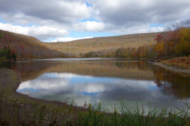 fall